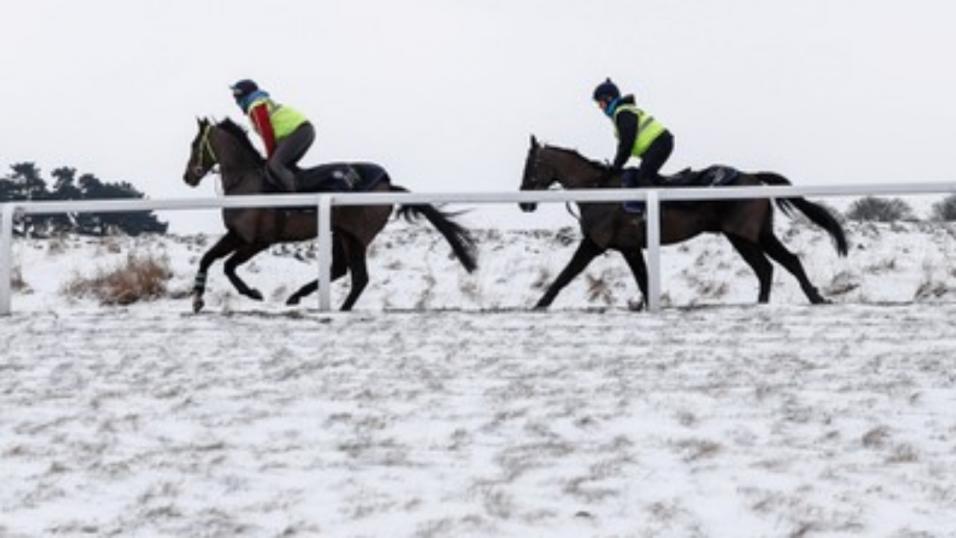 Winter racing